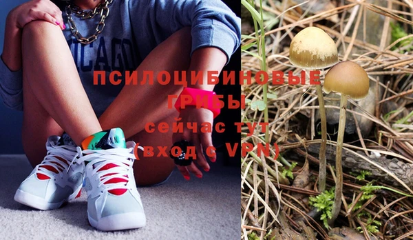 дмт Балахна