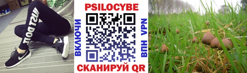 цена наркотик  Томилино  Галлюциногенные грибы Psilocybine cubensis 